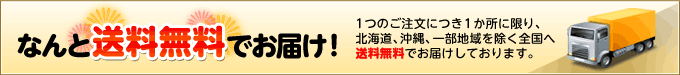 送料無料でお届け